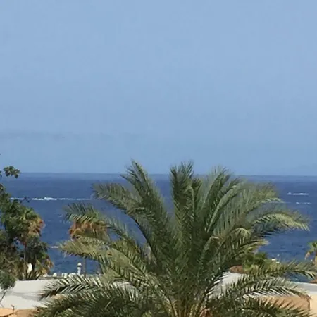 Olympia Apartment Playa de las Americas (Tenerife)